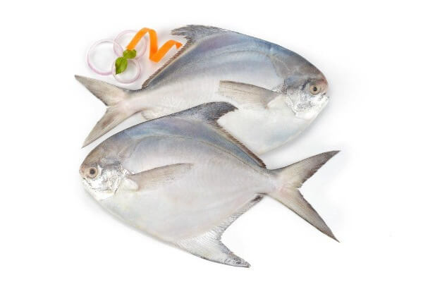 Whole Silver Pomfret Fish MirchiMasalay