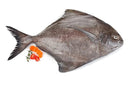 Whole Black Pomfret Fish (سمك حلواى) MirchiMasalay