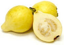 Yellow Guava MirchiMasalay