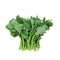 Rapini ( Broccoli Rabe) Fresh Farms