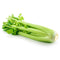 Bunch Celery Fresh Farms
