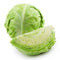 Green Cabbage Fresh Farms