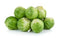 Brussel Sprouts Fresh Farms