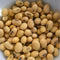 Soya Bean Seed MirchiMasalay